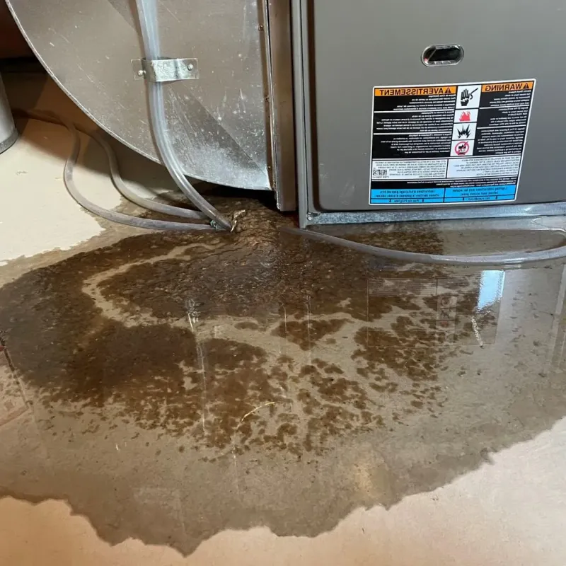 Pipe Burst and Leak Restoration in Ranchos de Taos, NM